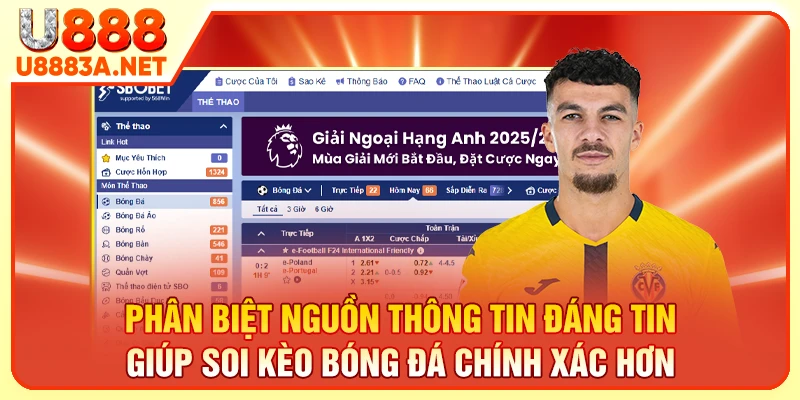 Phân biệt nguồn thông tin đáng tin giúp soi kèo bóng đá chính xác hơn